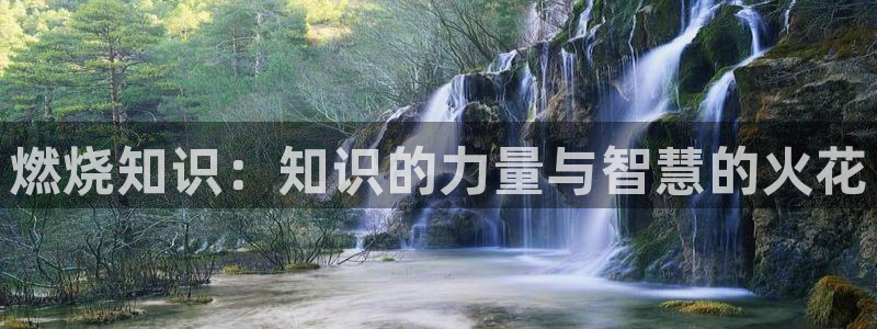 zxcs8知轩藏书：燃烧知识：知识的力量与智慧的火花