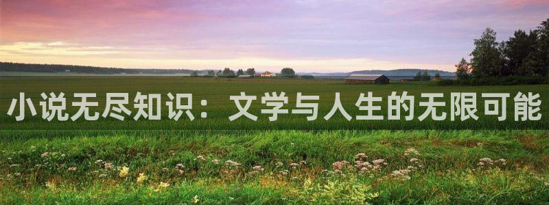 知轩藏书吧：小说无尽知识：文学与人生的无限可能
